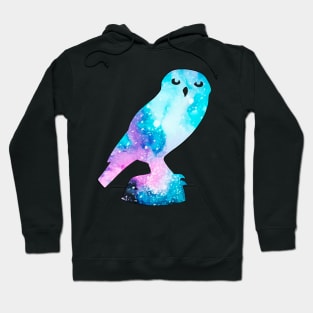 Snowy Owl Hoodie